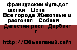 французский бульдог щенки › Цена ­ 50 000 - Все города Животные и растения » Собаки   . Дагестан респ.,Дербент г.